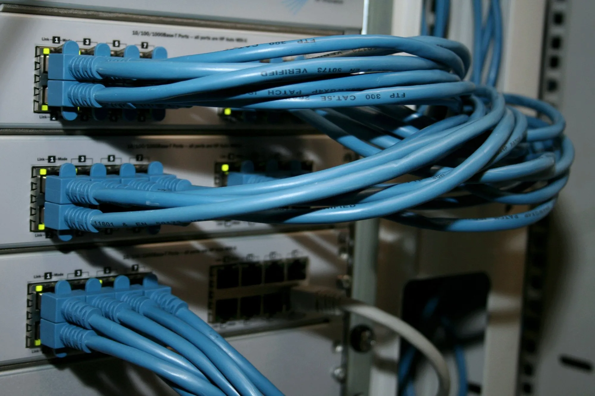 Organised patch cables plugged into the switch