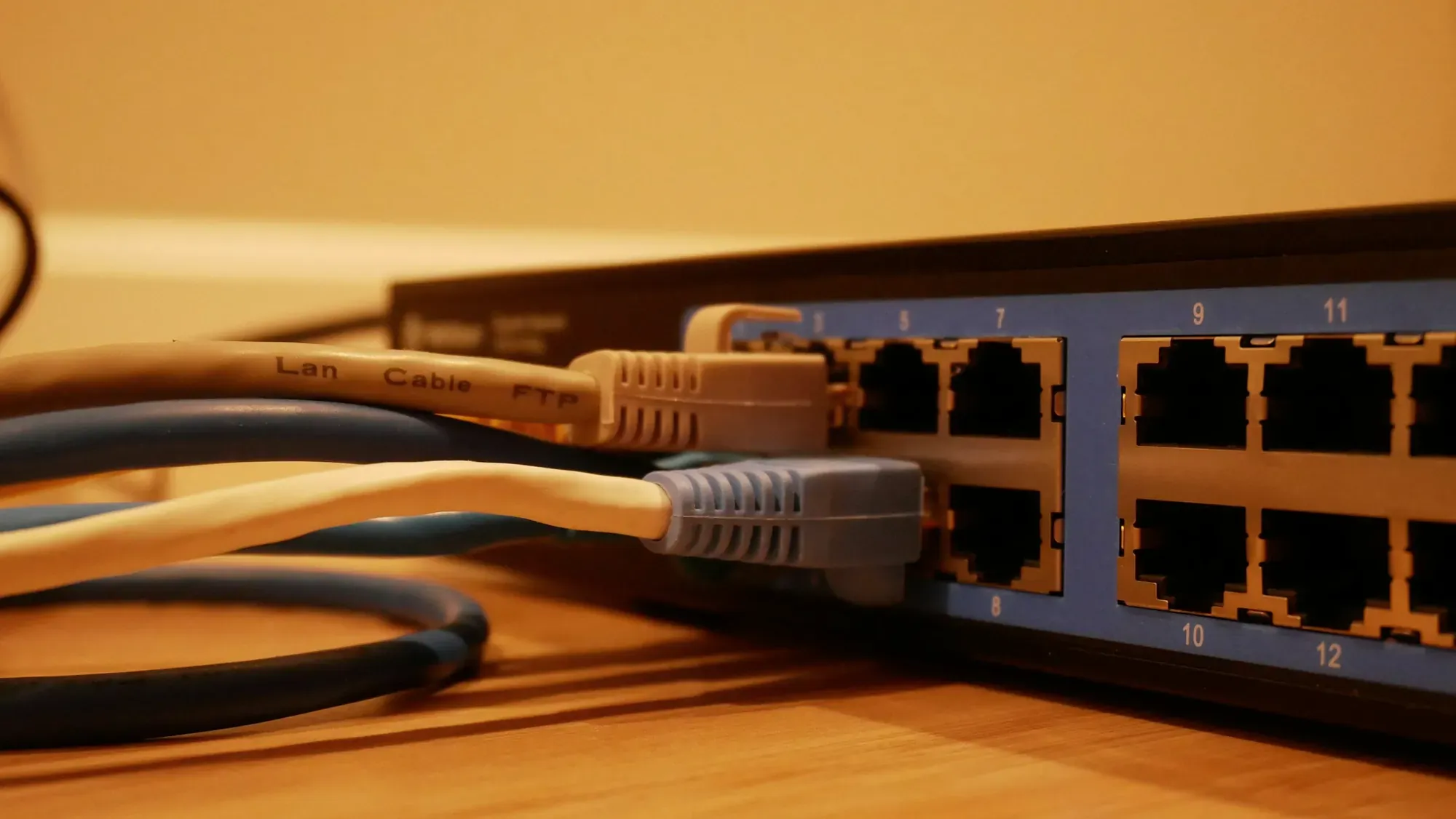 Kable sieciowe wpięte w przełącznik w ciepłym świetle