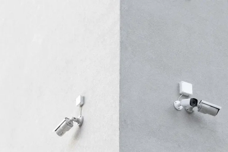 monitoring CCTV dla firmy